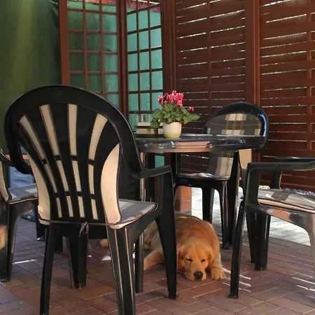 Holiday home In Alt-schadow Mit Grill Und Terrasse By Interhome Markische Heide